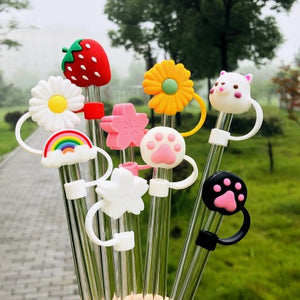 Creative Silicone Glass/Stainless Steel/Wooden Straw Dust Cap