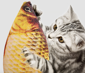 Cat/Kitty/Kitten Pet Toy Realistic Interactive Fish Chew Bite Kick Supply